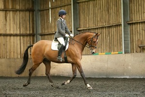 Isis Dressage Crown Farm Show 29th April 2012